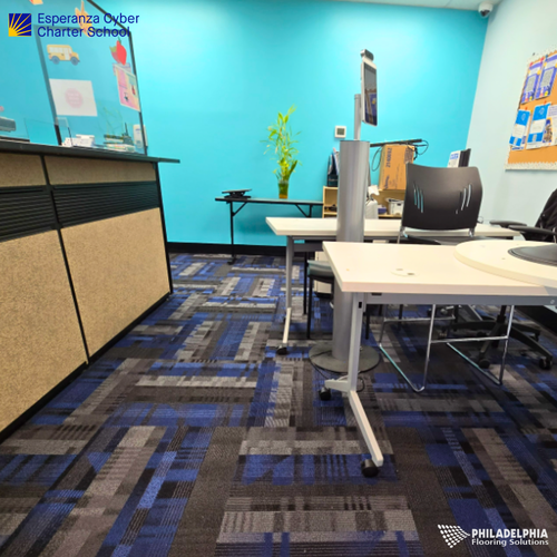 Patterned commercial school flooring by Philadelphia Flooring Solutions