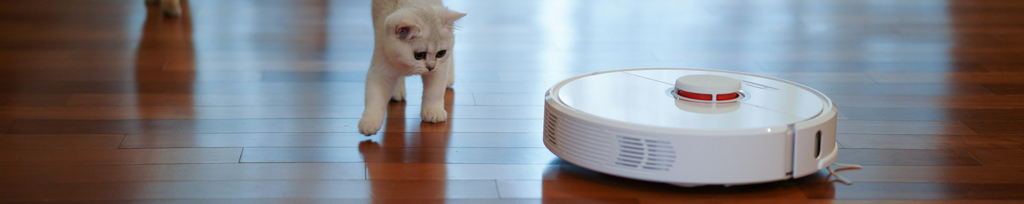 Cleaning pet friendly laminate floor with a robot vacuum in a South Jersey home