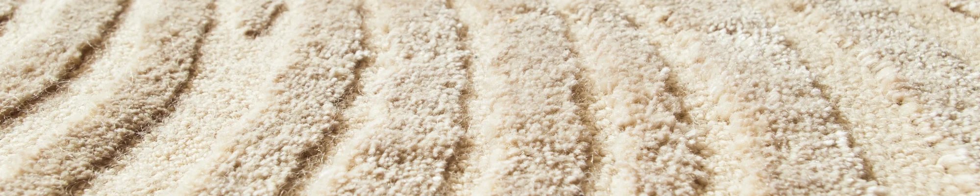 Textured beige shag carpet